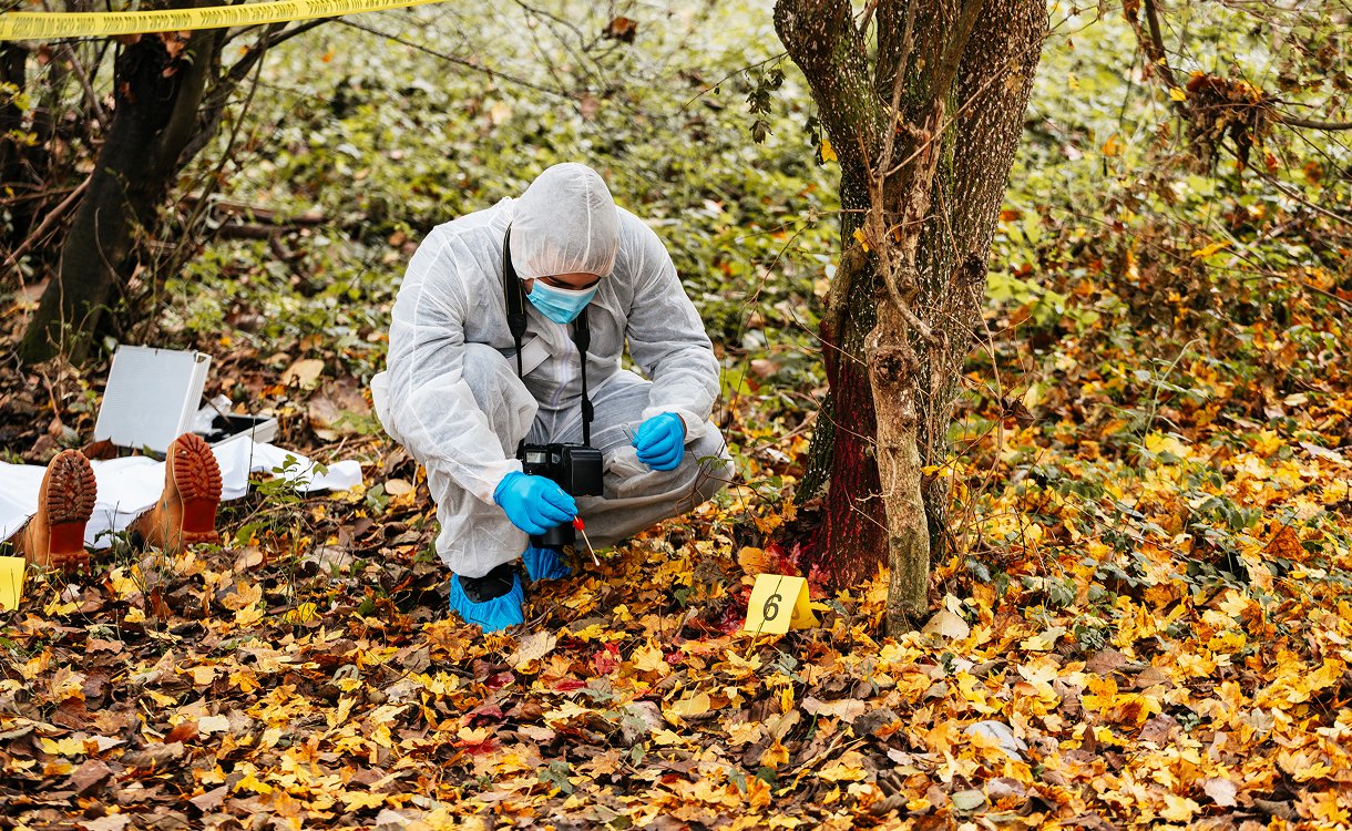 Forensic investigator examining evidence in forest
